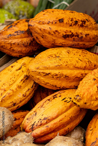 Bright orange cacao pods stacked at an outdoor market in Hawaii