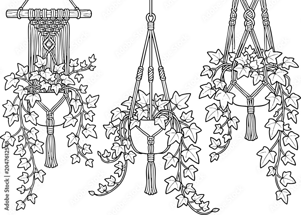 Fototapeta premium Macrame Plant Hangers with Ivy Line Art Illustration