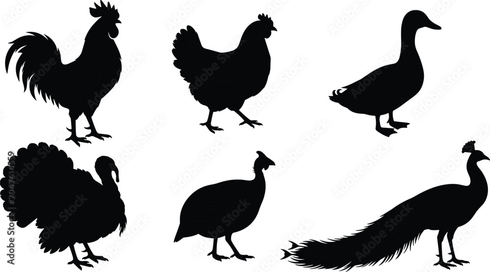 Obraz premium Farm Poultry Bird Silhouette Collection Featuring Rooster Hen Duck Turkey Guinea Fowl and Peacock Set