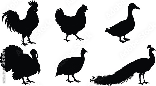 Fotografía Farm Poultry Bird Silhouette Collection Featuring Rooster Hen Duck Turkey Guinea