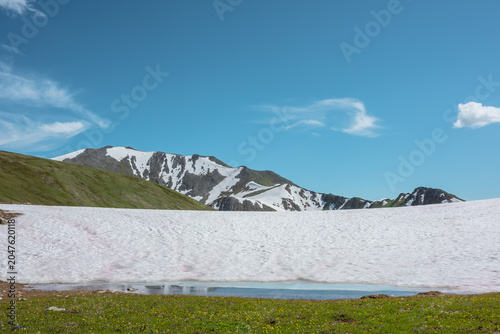Flowering grassy meadow under wide snow-white snowfield against big rocky ridge in sunny day under clouds in blue sky. Melting glacier, green hill and sharp rock wall with white snows in bright sun.