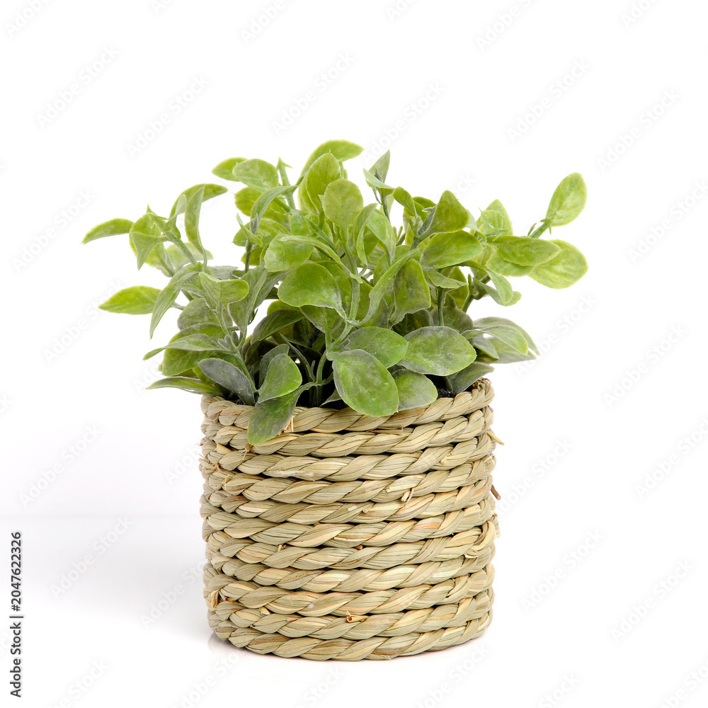 Naklejka premium Artificial Plastic plant in basket pot
