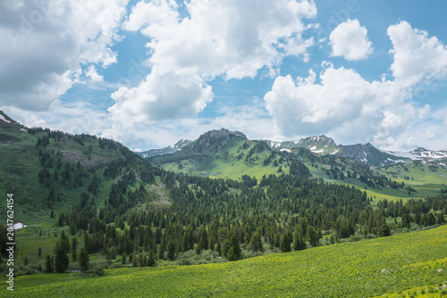Vivid green view from grassy meadow to forest hills and high rock tops and peaks with snow under lush clouds in blue sky. Conifer trees and sharp rocky mountains with sheer crags in changeable weather