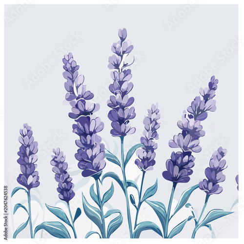 Lavender Summer Breeze