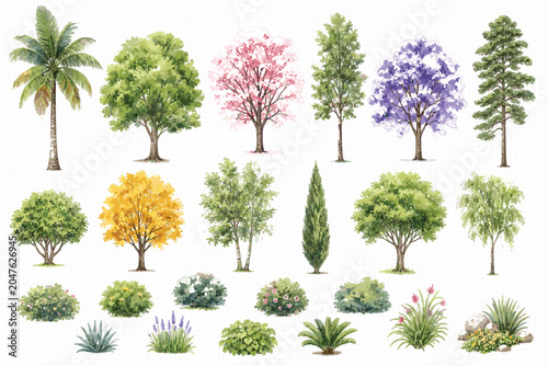 Watercolor Trees Shrubs and Garden Plants Vector Collection for Landscape Design Architectural Rendering and Botanical Illustration in Soft Natural Style