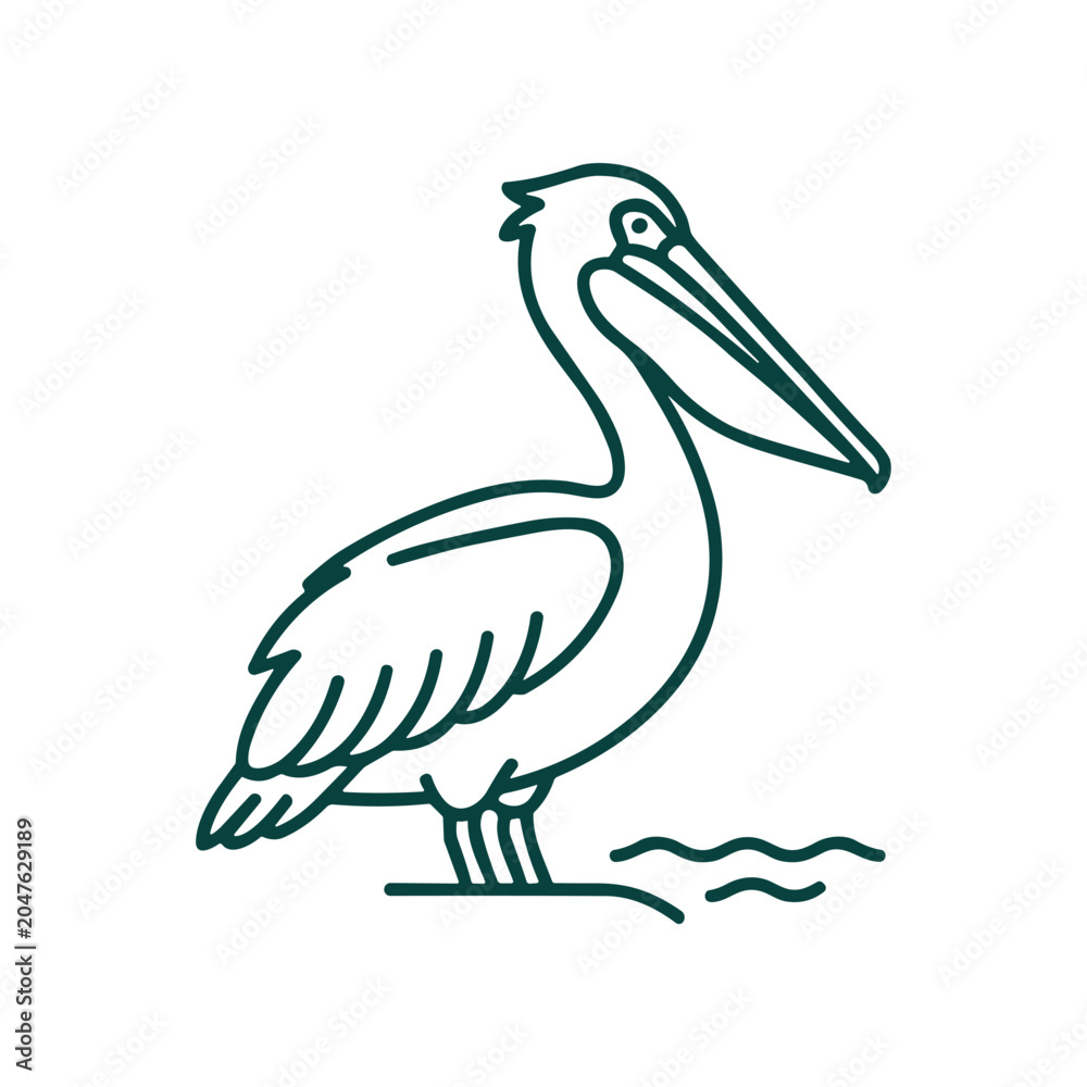 Fototapeta premium Pelican Bird Standing on Water Shore.