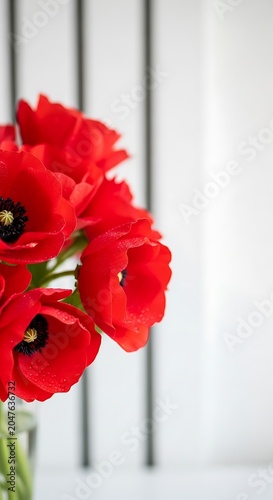 Vibrant Red Poppy Bouquet Against White Background, Soft Focus, Artistic Composition.