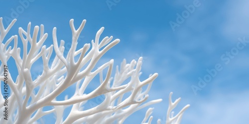 white tree branches, blue sky background