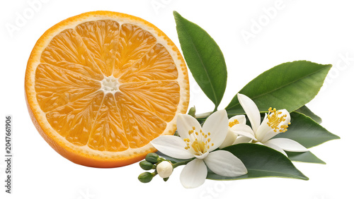 Fresh Orange Slices Arranged in Flower Shape with Green Leaves and White Blossom Isolated on White Background – High-Resolution Hyper-Realistic Citrus Sinensis Fruit Graphic Design Element for Juice a