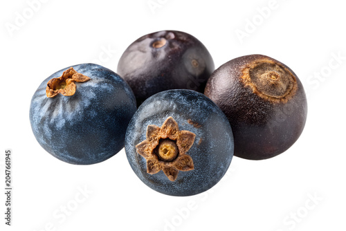 Three Dried Blue Juniper Berries Front View Isolated on White Background – High-Resolution Hyper-Realistic Juniperus Communis Conifer Seed Pods for Culinary, Gin Distilling, and Cooking Graphic Design