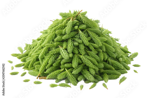 Pile of Fresh Young Green Spruce Shoots Isolated on White Background – High-Resolution Hyper-Realistic Conifer Pine Buds for Herbal Tea, Culinary, and Natural Wellness Graphic Design