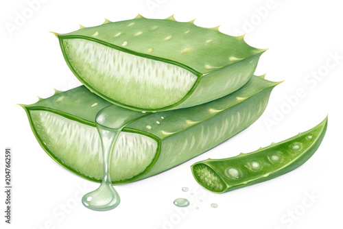 Two Fresh Sliced Aloe Vera Leaves with Clear Gel Drops Isolated on White Background – High-Resolution Watercolor Illustration for Cosmetics, Skincare, and Healthy Medical Graphic Design