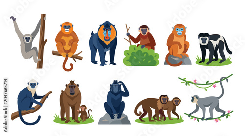 Foto Monkeys exotic wild animals species vector illustration