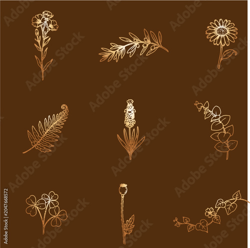 Hand Drawn Botanical Floral Sketch Collection Minimal Line Art Vector Set
