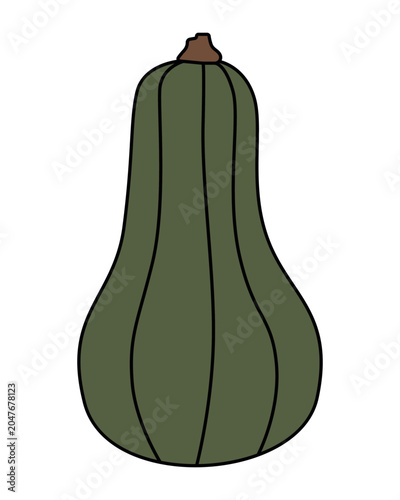 Green Squash Vector Illustration Isolated. Green squash vector illustration showcasing the detailed outline of this vegetable.