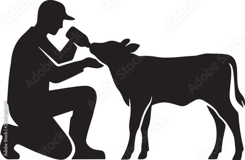 silhouette Man feeding calf from bottle