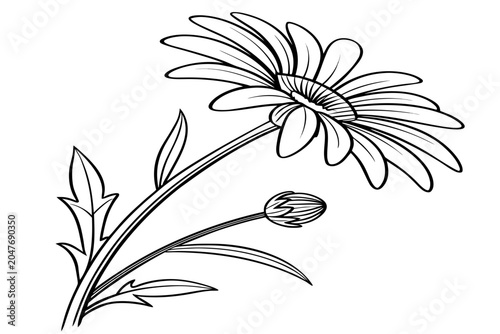 Slika na platnu coloring page line art the ash blossom flower black vector