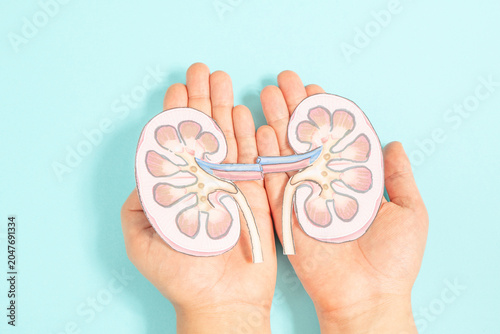 Bild auf Leinwand Kidney organ disease, world kidney day, impaired function, health problems, kidn