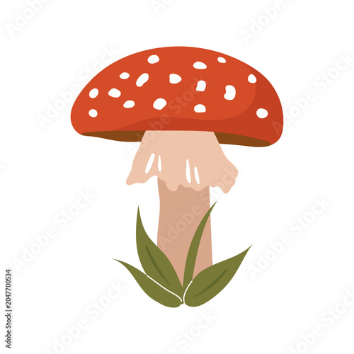 Tableau sur toile Red amanita mushroom vector hand drawn fly agaric toxic fungus