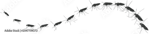 Bild auf Leinwand Cockroach Infestation Progression Illustration with Crawling Insects in Movement