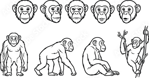 Chimpanzee Black White Vector Line Art Mascot Design Poses Collection