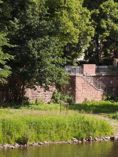 Riverside green space with young tree and stone embankment