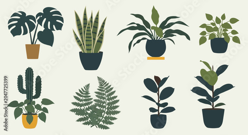 Foto Collection of potted houseplants and ferns
