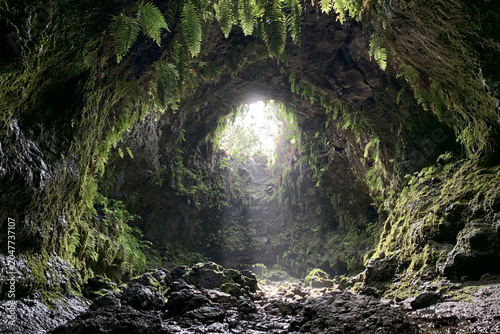 <SEO Focused Title Here - Example: 'Explore Mystical Cave Formations with Light and Ferns in a Greenery-Filled Rocky Landscape'