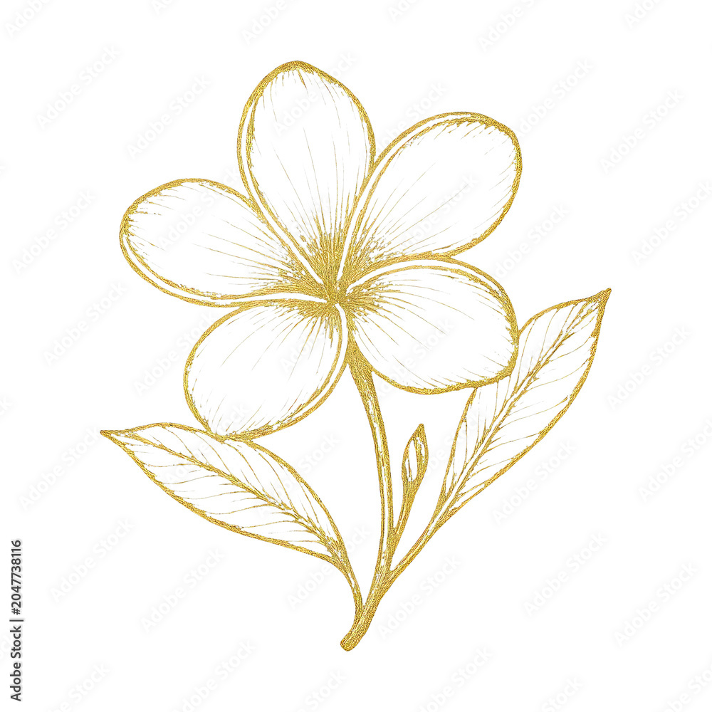 Obraz premium PNG Elegant gold floral illustration