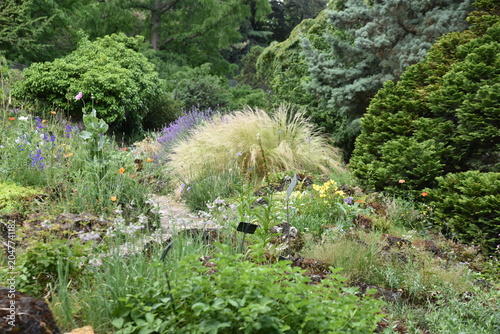 Jardin botanique au printemps