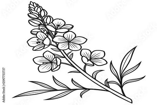 Bild auf Leinwand coloring page line art the summer lilac flower black vector