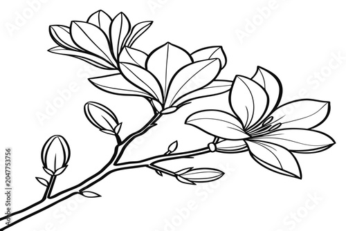Schilderij op canvas coloring page line art the summer lilac flower black vector