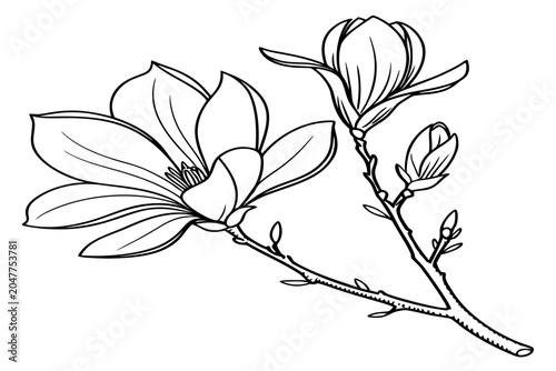 Fotografi coloring page line art the summer lilac flower black vector