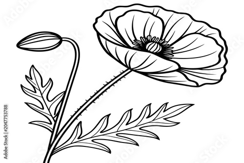 Tableau sur toile coloring page line art the summer lilac flower black vector