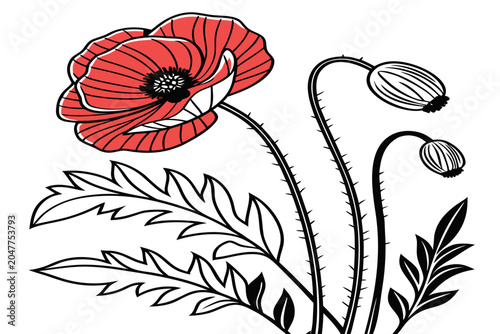 Slika na platnu coloring page line art the summer lilac flower black vector