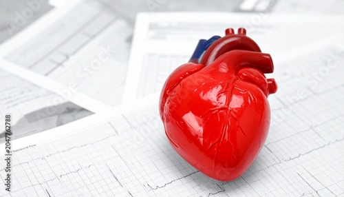 Anatomical heart model with ECG printout