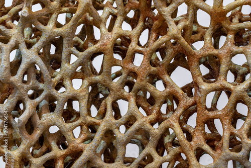 Fotografija Abstract ceramic sculpture texture with porous organic lattice structure, geomet