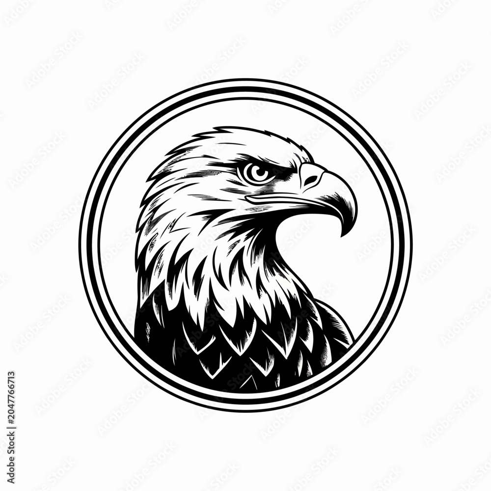Fototapeta premium Eagle Bird Head Closeup Profile View.