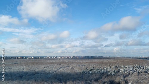 Snow-covered forest stretching toward distant urban skyline, time lapse. A wide winter forest landscape leading toward a distant city skyline under a bright sky filled with soft, scattered clouds.