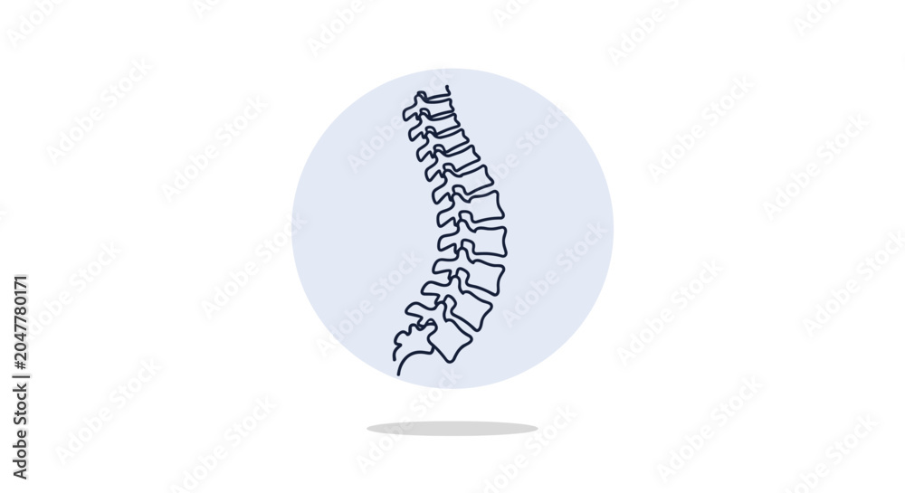 Obraz premium Simple line art illustration of the human spinal column positioned inside a light blue circle for healthcare and orthopedic branding.