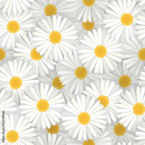 Seamless Daisy Floral Background for Design Wallpaper, Prints and Covers