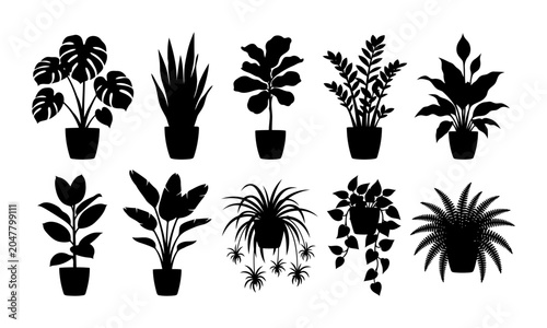 Collection of indoor plant silhouettes showcasing monstera aloe fiddle leaf fig leafy shrubs peace lily rubber plant spider plant pothos and fern pots