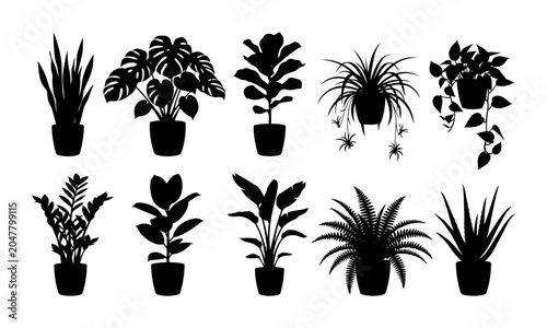 Collection of potted houseplant silhouettes featuring snake plant monstera fiddle leaf fig spider plant hanging vine zamioculcas rubber plant and fern