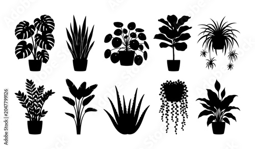 Collection of botanical indoor silhouettes with monstera snake plant pilea fiddle leaf fig spider plant zamioculcas bird of paradise aloe and string of pearls