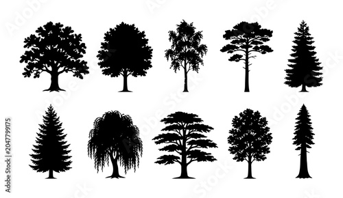Collection of forest tree silhouettes showcasing oak birch pine willow cedar spruce and broadleaf landscape trees