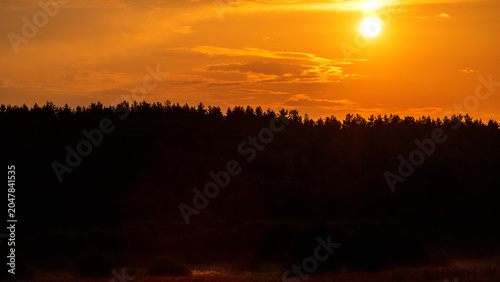 Sunrise over forest with orange sky. Summer landscape.