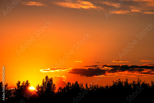 Sunrise over forest with orange sky. Summer landscape.