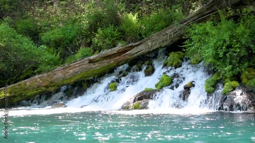 Large Springs Flowing into the Metolius River near Camp Sherman, Oregon
