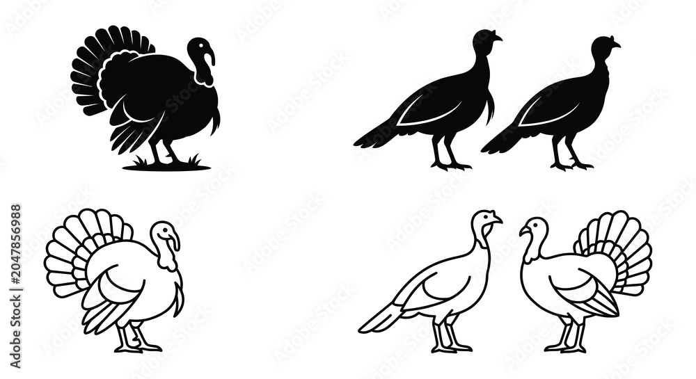 Fototapeta premium Turkey Silhouette And Line Art Set On White Background