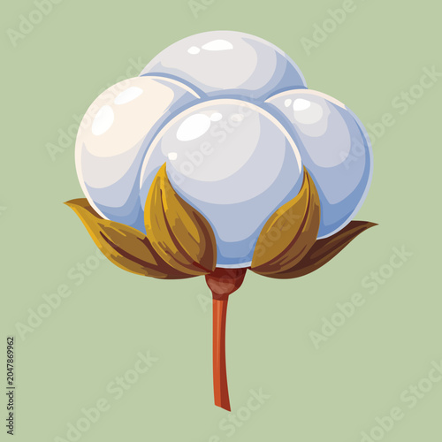 Vászonkép raw cotton flower plant agricultural harvest commodity textile material farming